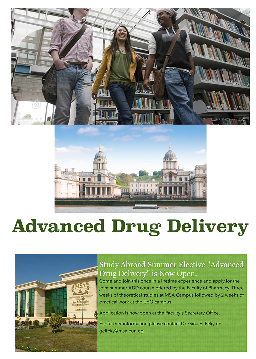 Study Abroad Summer Elective 