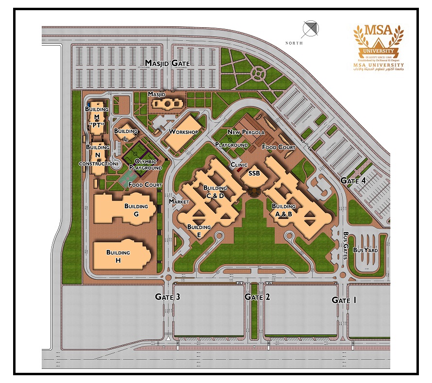 MSA University - Layout Guide 
