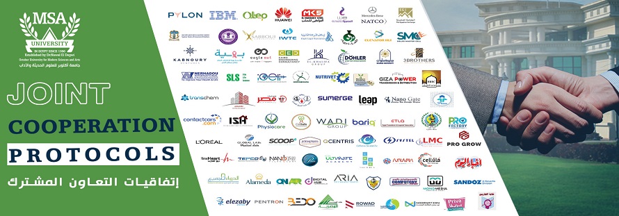 Joint Cooperation Protocols
