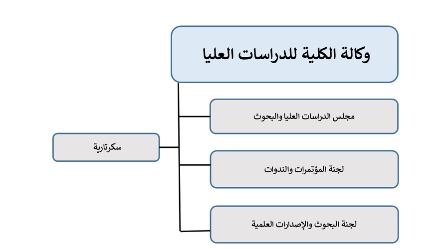 MSA University - Faculty of Computer Science