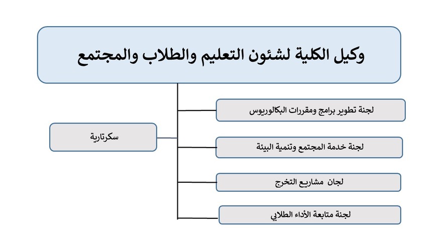 MSA University - Faculty of Computer Science
